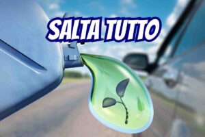 Salta carburante futuro