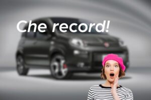 Panda record prezzo