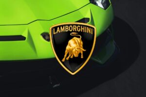 La Lamborghini più esotica che vedrete oggi: ha dei dettagli che la rendono unica